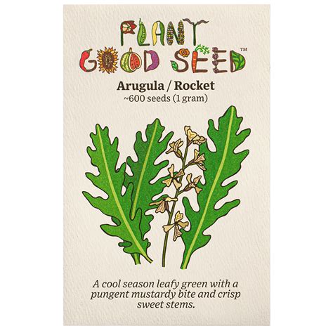 Arugula Seeds - The Plant Good Seed Company