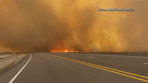 Texas A&M Forest Service raises wildfire preparedness to level 3 ...