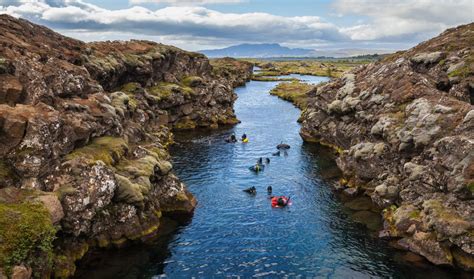 Natural History – The Mid-Atlantic Ridge - Tiplr