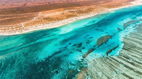 Scuba diving in Ningaloo, Exmouth and Coral Bay | ZuBlu