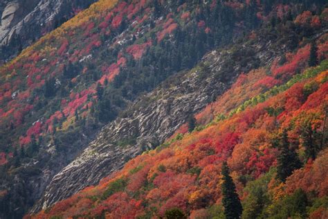 Utah Fall Colors 2012 | Clint Losee Photography