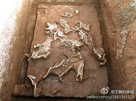 China: Ancient Tomb of First Emperor Qin Shi Huang's Grandmother ...