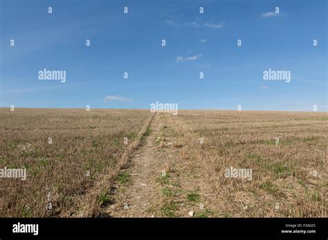 View of the West Sussex countryside. Showing the great countryside from ...