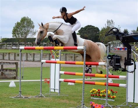 FreeRiding NZ - Alycia Burton - Free Rider Cute Horses, Pretty Horses ...