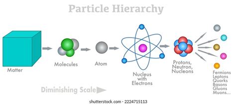 Jerarquía de partículas. Materia a quarks.: vector de stock (libre de regalías) 2224715113 ...