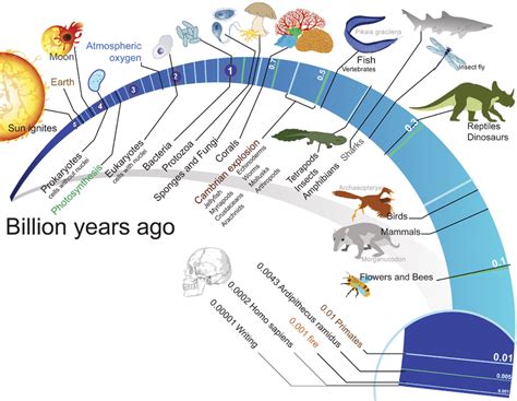 1.8: Evolution of Life - Biology LibreTexts