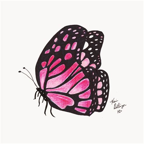 Pink Butterfly Drawing by Kevin Dellinger