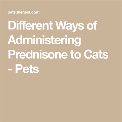 Prednisone Taper Chart For Cats