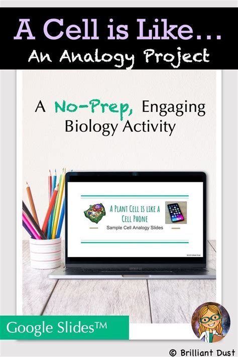 This is a cell analogy project with options! It allows students to exercise their creative ...