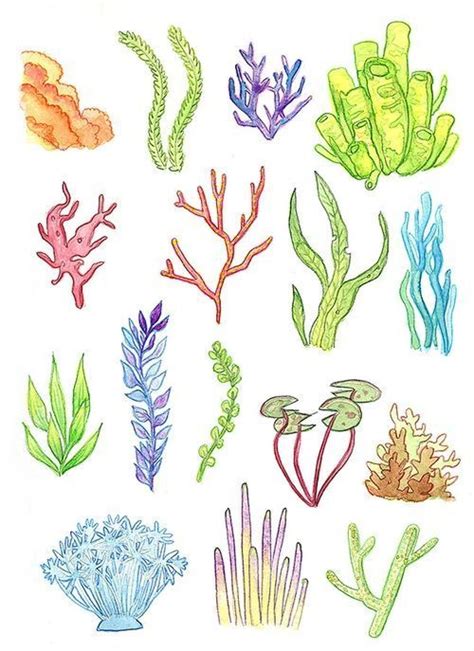 Underwater Plants [Print] - Watercolor Painting Art Illustration Drawing Coral Reef Seaweed ...