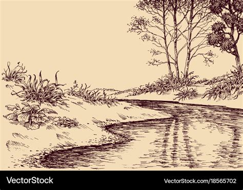 Landscape drawing river flow and vegetation Vector Image