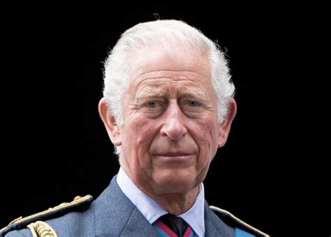 King Charles III Thanks The Public For Their Support Amid UK Prime Minister Controversy ...