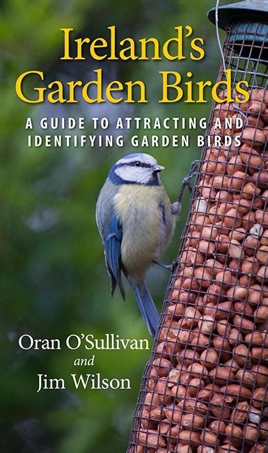 Ireland's Garden Birds - Irish Garden Birds