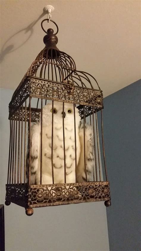 Hedwig in owl cage for Harry Potter nursery. | Harry potter bedroom ...