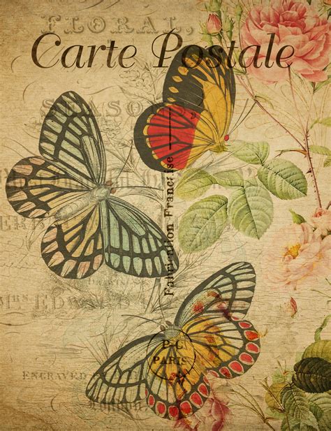 Butterflies Vintage Postcard Free Stock Photo - Public Domain Pictures