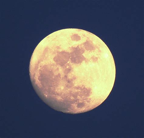 Photo de jour de la lune au 676 mm | Test du bridge Olympus … | Flickr