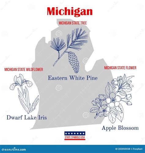 Michigan. Set of USA Official State Symbols Stock Vector - Illustration ...