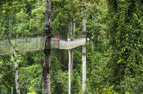 Xishuangbanna Scenic Spot Picture And HD Photos | Free Download On Lovepik