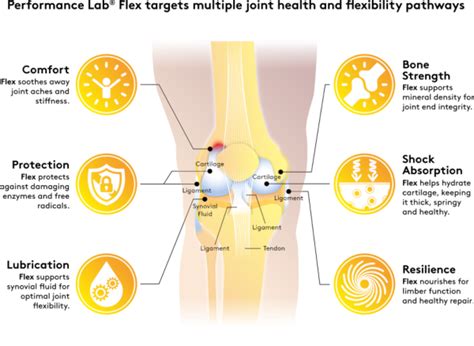 Best Joint Supplements 2021: Reduce joint pain & promote flexibility naturally • Open Health Tools
