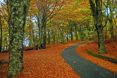 The Calabria Trail. A new 654-kilometre route (Sentiero Calabria)