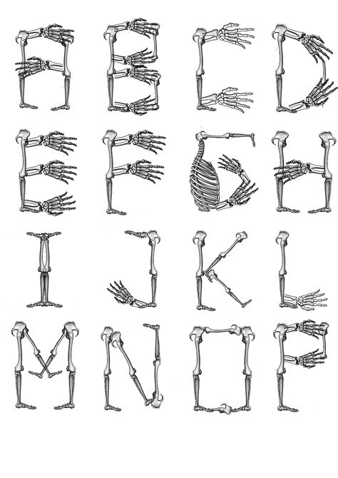 12 Bone Fonts For Word Images - Skeleton Bones Font Letters, Bone Fonts ...