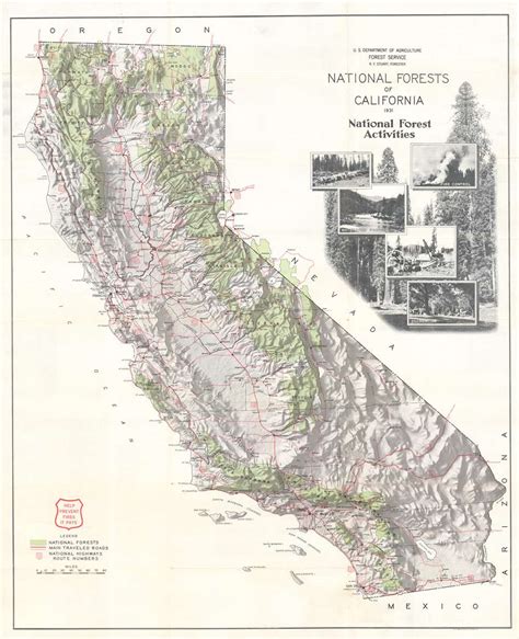 Ca National Forest Map