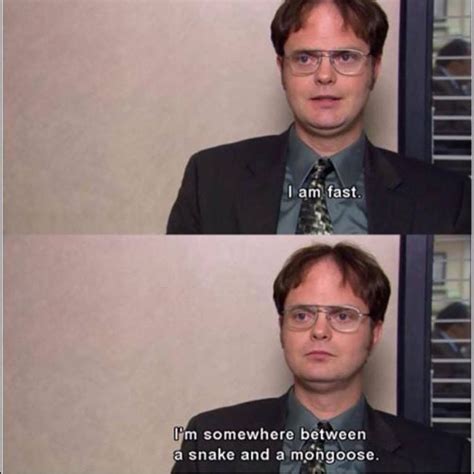 List : 25+ Best Dwight Schrute Quotes (Photos Collection) | Office ...