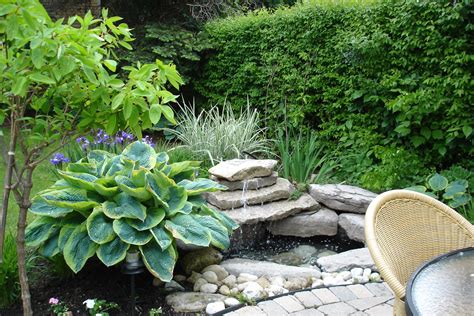 a garden with rocks and plants in it