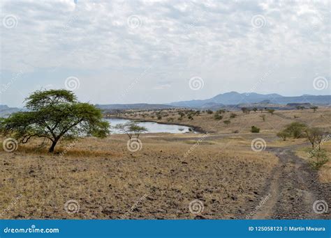 Volcanic Landscapes at Lake Magadi, Kenya Stock Image - Image of volcanic, lake: 125058123