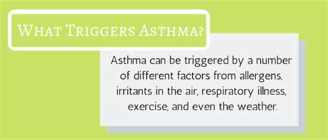 Mold Induced Asthma: Are Inhaled Mold Spores to Blame? - EnviroKlenz