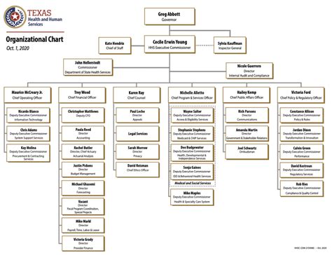 TXHHS Organizational Chart | Hogg Foundation for Mental Health