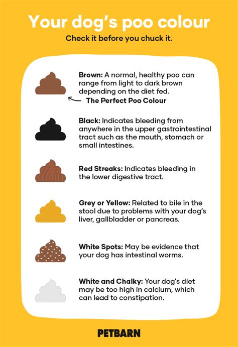 stool quality chart for dog poop - know your health by your poops google search stool chart ...