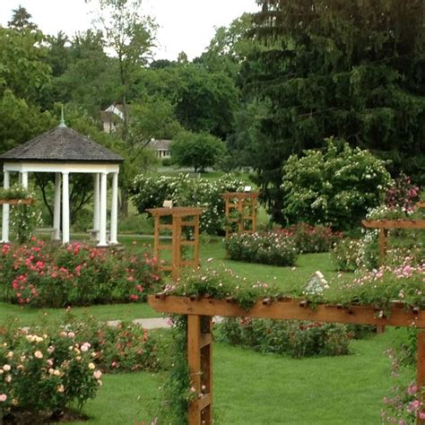 The Rose Garden, Allentown, PA. Beautiful spot