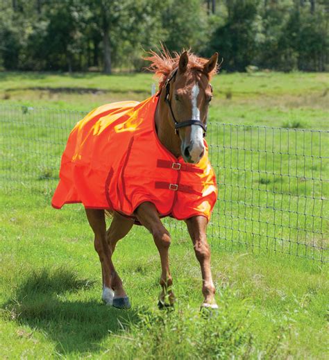 Jeffers 600D Blaze Orange Safety Horse Sheet - Walmart.com - Walmart.com