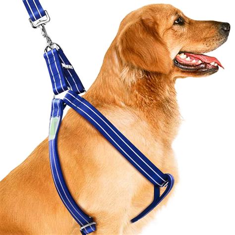 Dog Harness Leash Set, Heavy Duty Metal Buckles Halter Leash for Large Medium Breed Dogs ...