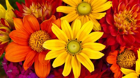 Flower Bouquet Wallpapers (70 images) - WallpaperCosmos