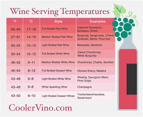 Guide to Wine Serving Temperature - CoolerVino