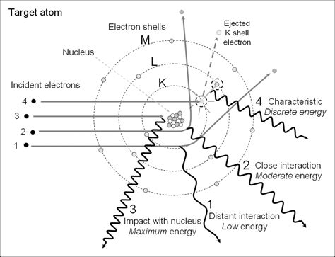 X-Ray Imaging Physics for Nuclear Medicine Technologists. Part 1: Basic Principles of X-Ray ...