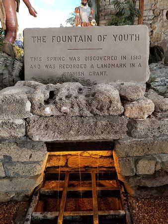 Fountain of Youth Archaeological Park (St. Augustine) - 2020 All You ...