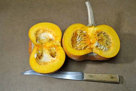 Heirloom New England Sugar Pie Pumpkin Seeds | Terroir Seeds