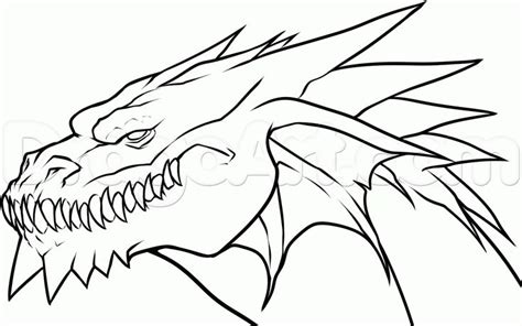 how to draw dragons | How to Draw a Dragon Head, Step by Step, Dragons ...