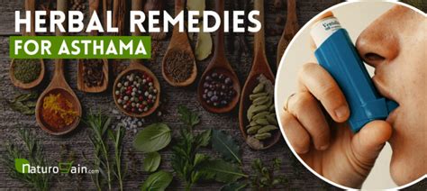 8 Best Herbal Remedies for Asthma That Relieve Symptoms [Naturally]