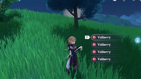 Valberry Genshin Impact Location Map - Where to farm Valberry - Touch, Tap, Play