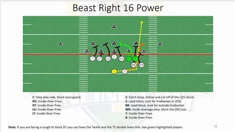 Single Wing Beast Formation Playbook - Guru Pintar