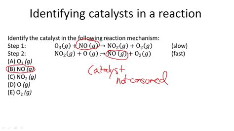 Identifying catalysts in a reaction - YouTube