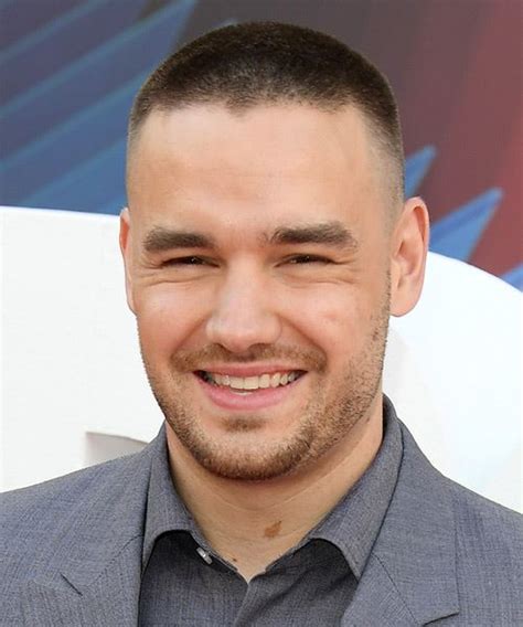 Liam Payne Short Straight Black Hairstyle - Hairstyles