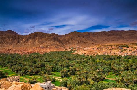 16 belles photos des oasis au Maroc dont vous ne croirez pas l’existence ! | Paysage maroc, Maroc