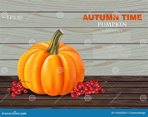 Autumn Pumpkin Vector Realistic Banner. Layout Template Harvest on Wooden Backgrounds Stock ...