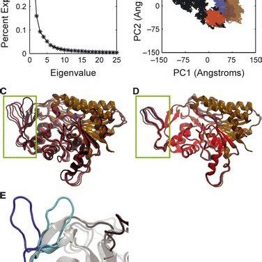 UDP-sugar epimerization. The epimerization reaction proceeds via a... | Download Scientific Diagram