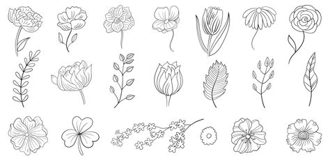 Set of Hand Drawn Line Flowers 952678 Vector Art at Vecteezy
